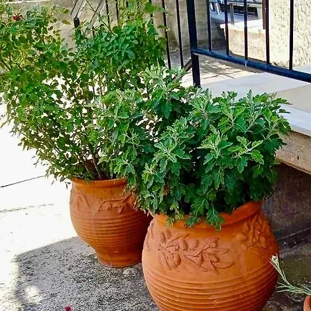 το πιθάρι 1 Apartment